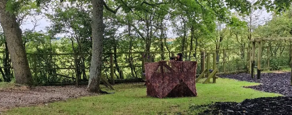 woodland with hides